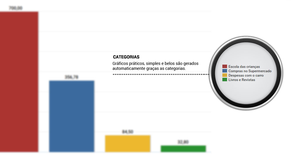 Relatórios divididos por categorias